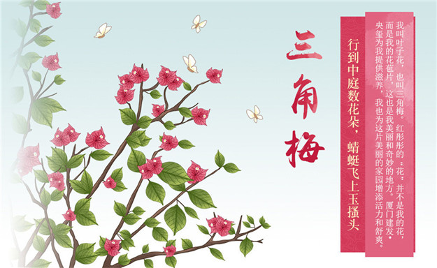 pa旗舰厅(中国区)官方网站-PlayAce